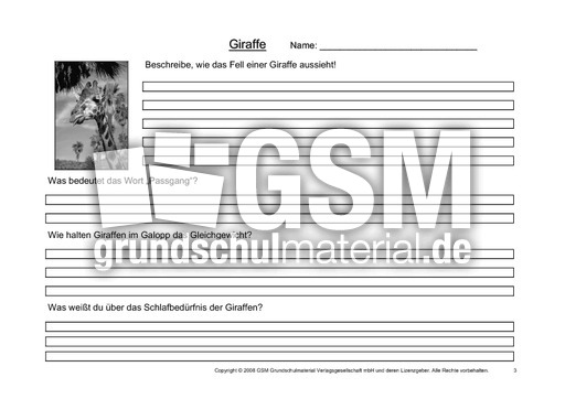 Giraffe-Fragen-3.pdf